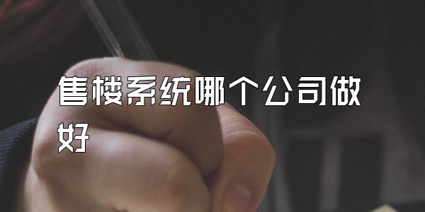 售楼系统哪个公司做好