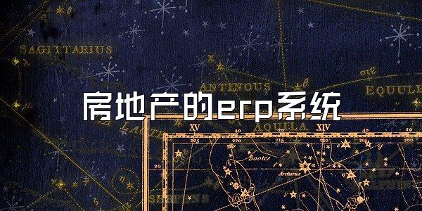 房地产的erp系统