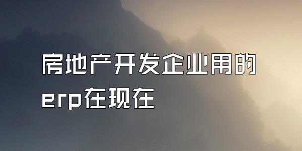 房地产开发企业用的erp在现在