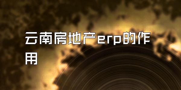 云南房地产erp的作用