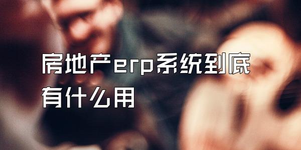 房地产erp系统到底有什么用