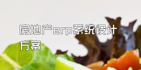 房地产erp系统设计方案