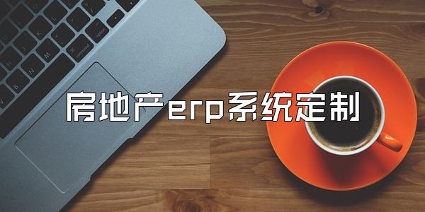 房地产erp系统定制