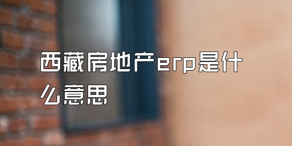 西藏房地产erp是什么意思