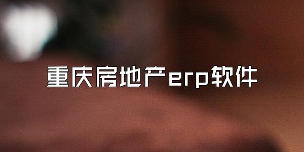 重庆房地产erp软件