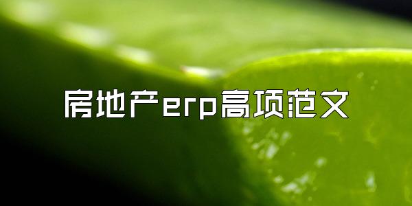 房地产erp高项范文