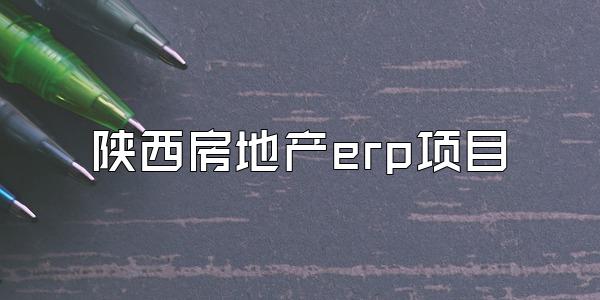 陕西房地产erp项目