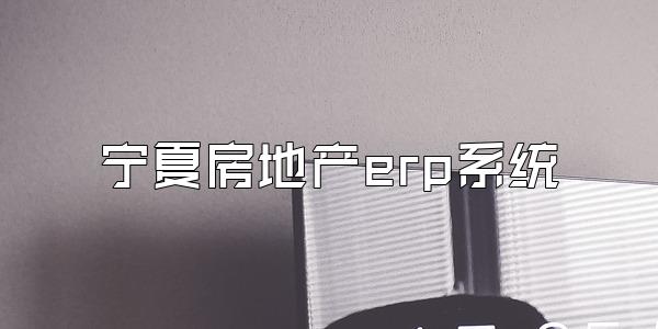 宁夏房地产erp系统
