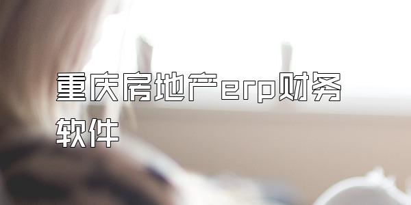 重庆房地产erp财务软件