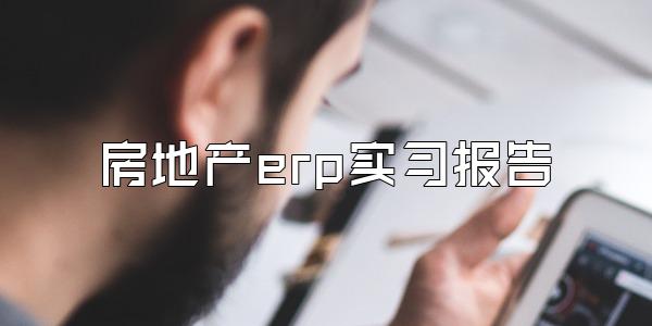 房地产erp实习报告