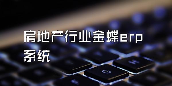 房地产行业金蝶erp系统