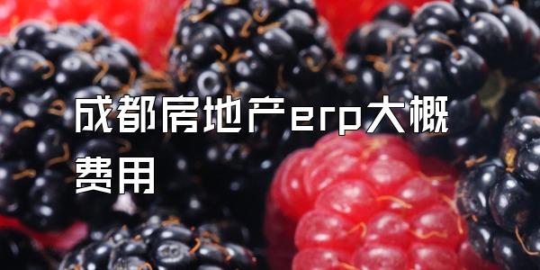 成都房地产erp大概费用