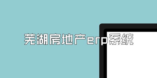 芜湖房地产erp系统