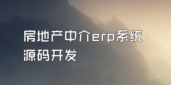 房地产中介erp系统源码开发