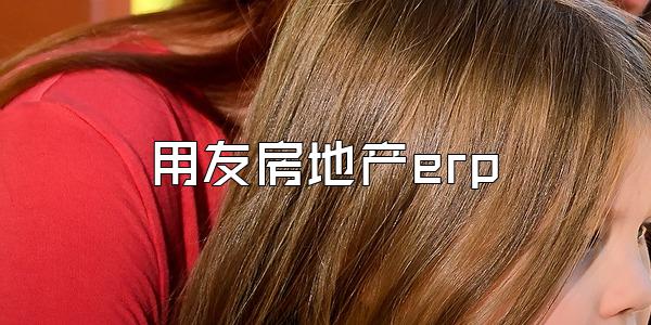 用友房地产erp