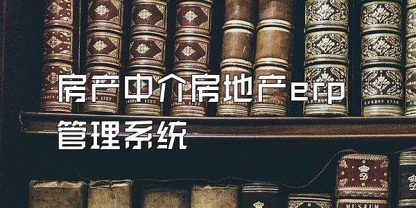 房产中介房地产erp管理系统