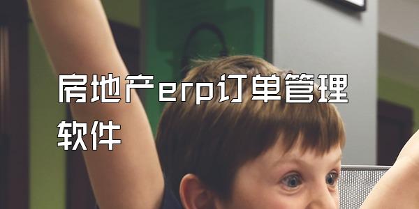 房地产erp订单管理软件