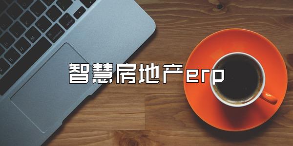 智慧房地产erp