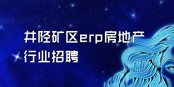 井陉矿区erp房地产行业招聘