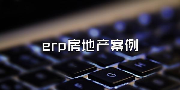 erp房地产案例