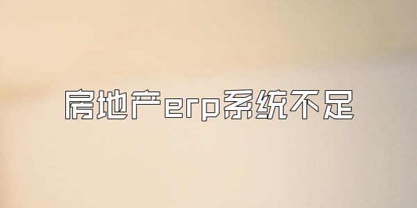 房地产erp系统不足