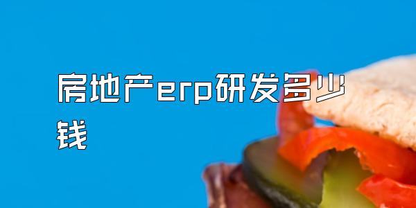 房地产erp研发多少钱