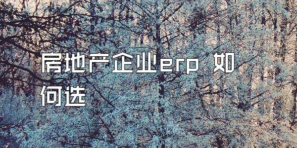 房地产企业erp 如何选