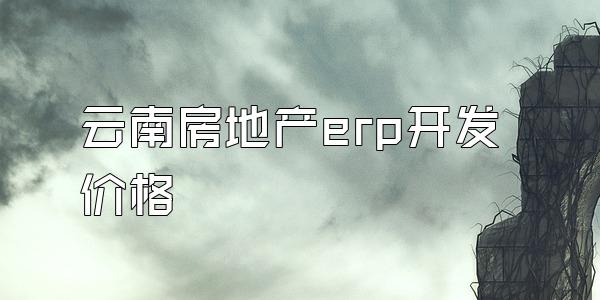 云南房地产erp开发价格