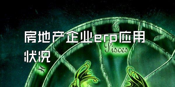 房地产企业erp应用状况