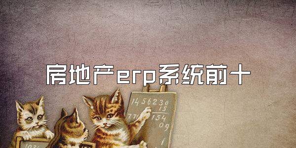 房地产erp系统前十