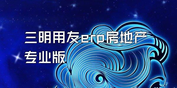 三明用友erp房地产专业版