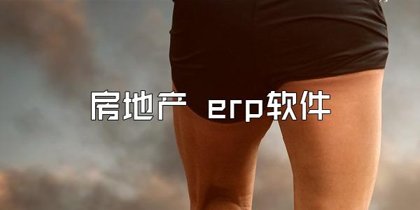 房地产 erp软件