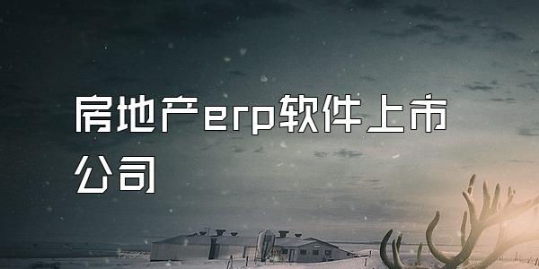 房地产erp软件上市公司