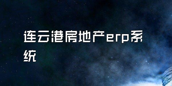 连云港房地产erp系统