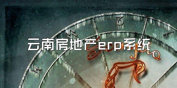 云南房地产erp系统