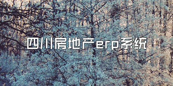 四川房地产erp系统