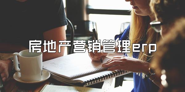 房地产营销管理erp