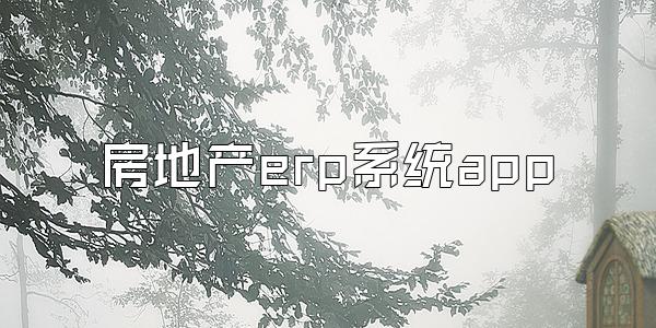 房地产erp系统app