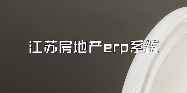 江苏房地产erp系统