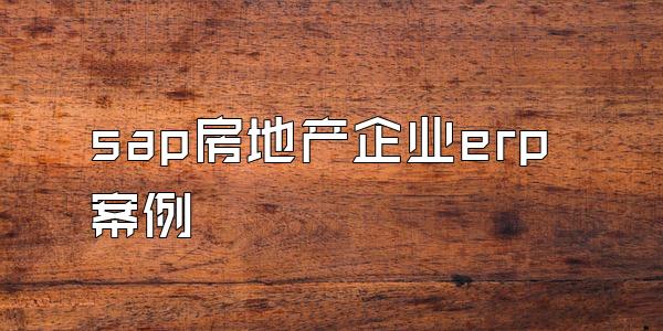 sap房地产企业erp案例