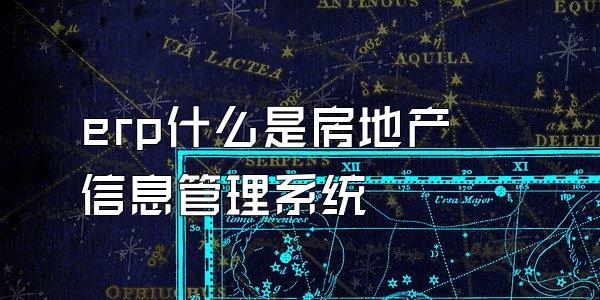 erp什么是房地产信息管理系统