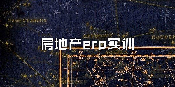 房地产erp实训