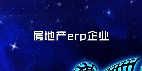 房地产erp企业