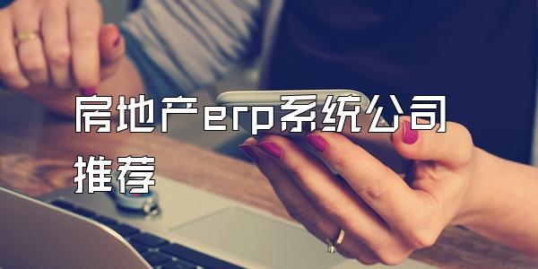 房地产erp系统公司推荐