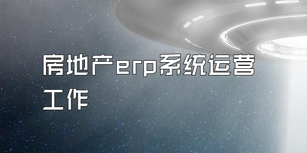 房地产erp系统运营工作