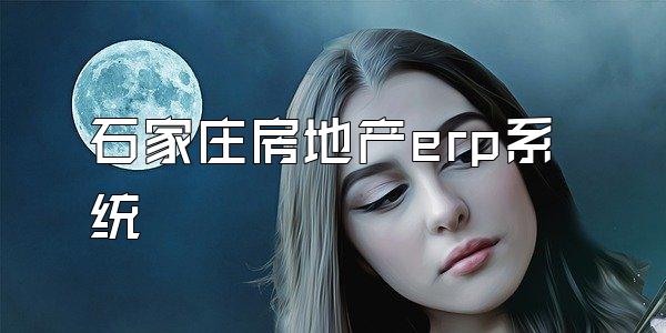 石家庄房地产erp系统
