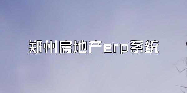 郑州房地产erp系统