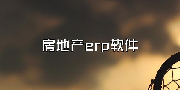 房地产erp软件