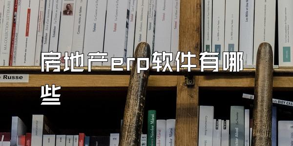 房地产erp软件有哪些