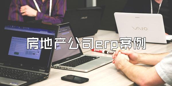 房地产公司erp案例
